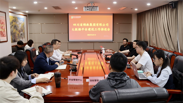 集团公司召开大数据平台建设工作推进会